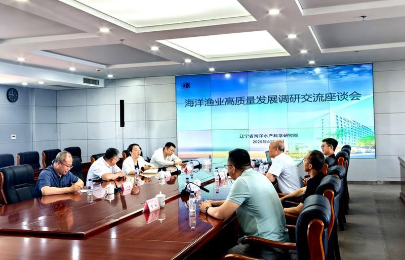 国际航运业回暖 船员招聘市场迎来新机遇
