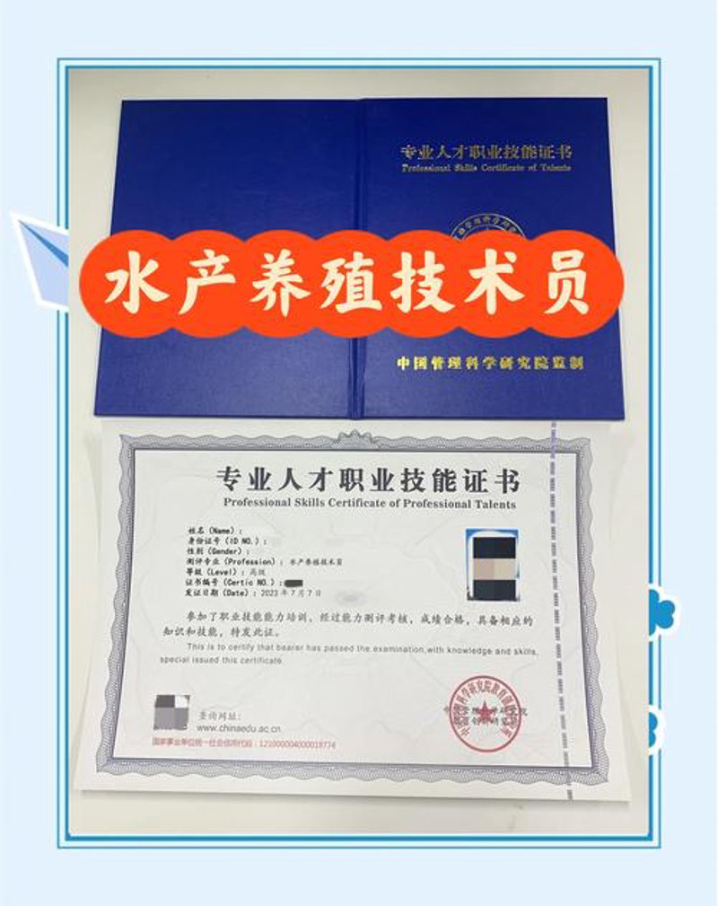 海员招聘：船舶之魂的寻觅之旅