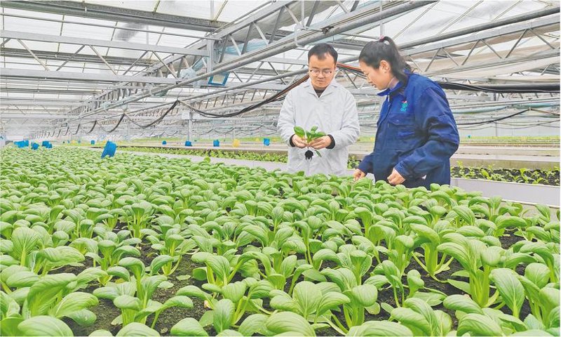 渔业安全：渔船船员的新挑战与应对策略